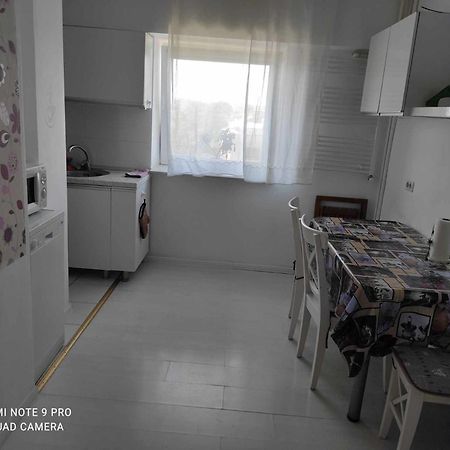 Apartament Faleza Nord 콘스탄차 외부 사진